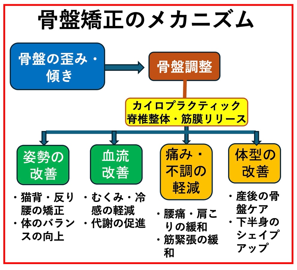 骨盤矯正のメカニズム