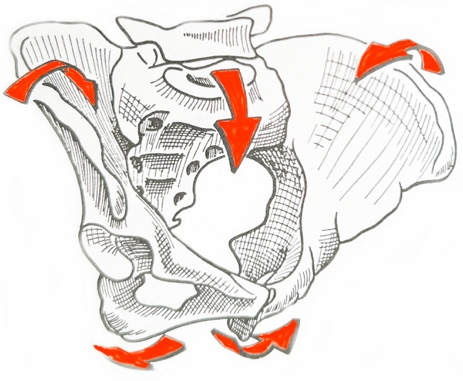 せぼね筋調整・鍼経絡治療