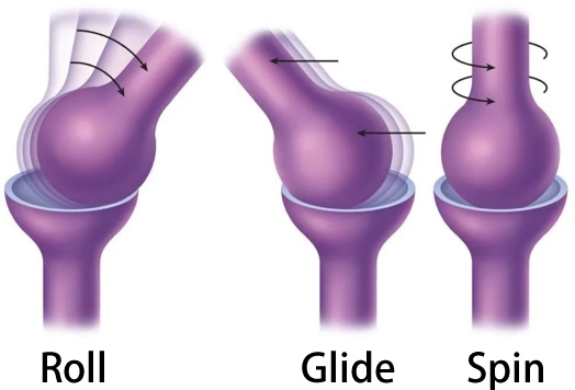 膝痛・四十肩の徒手関節治療の原理